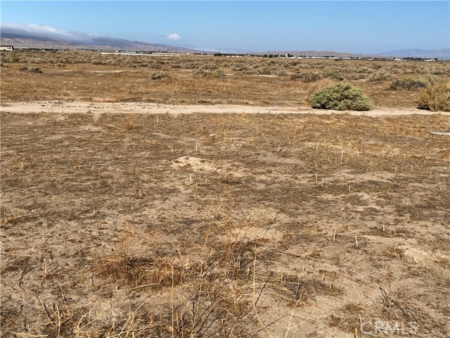 MLS #SW25225438 image #3