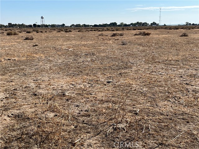 MLS #SW25225438 image #4