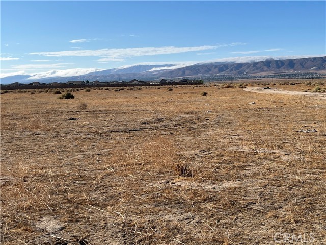 MLS #SW25225438 image #5