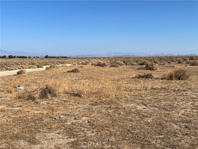 MLS #SW25225438 image #6
