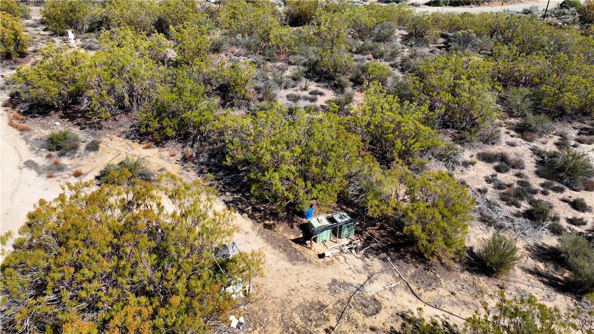 MLS #SW25225806 image #14