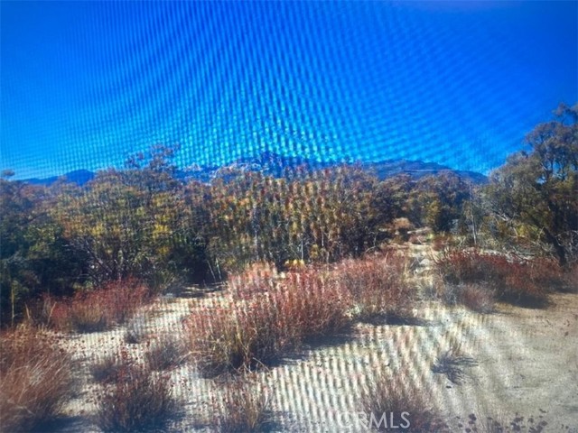 MLS #SW25225806 image #2
