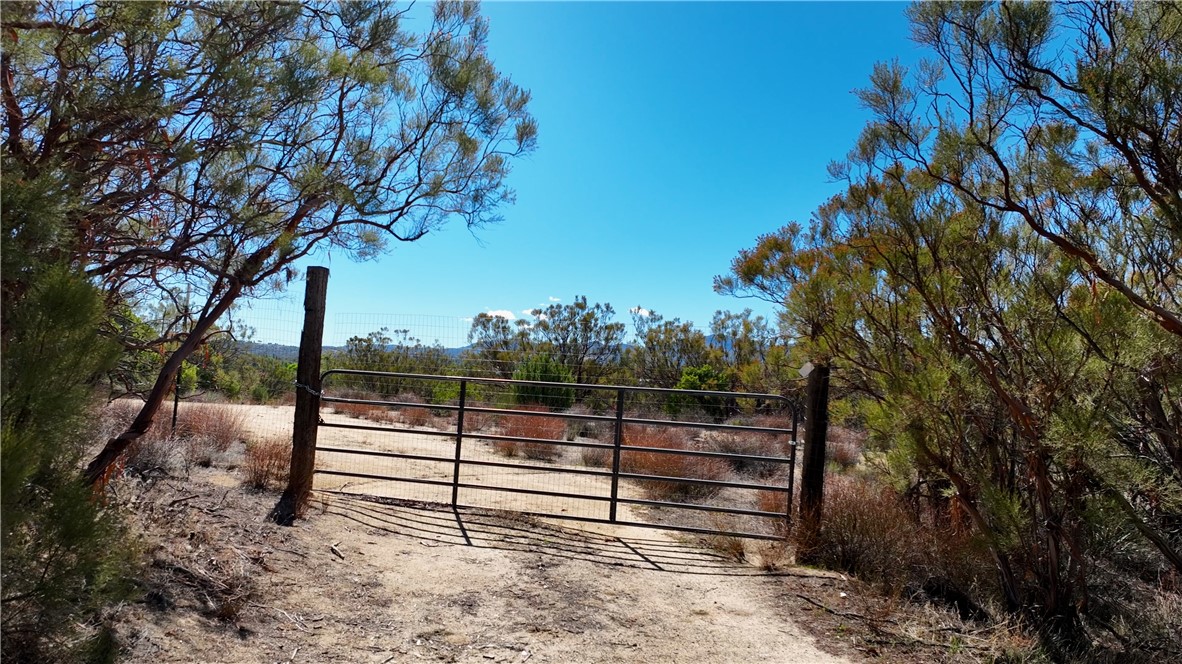 MLS #SW25225806 image #3