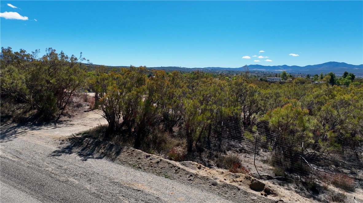 MLS #SW25225806 image #5