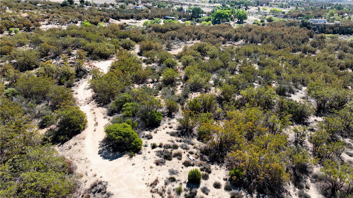 MLS #SW25225806 image #6
