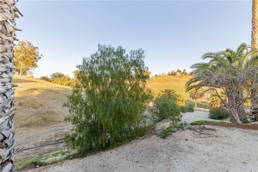 MLS #SW25226035 image #45