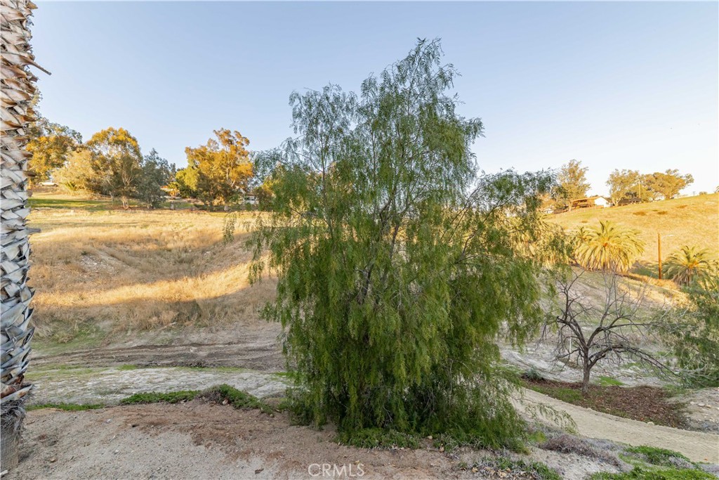 MLS #SW25226035 image #46