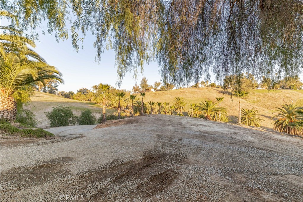 MLS #SW25226035 image #49