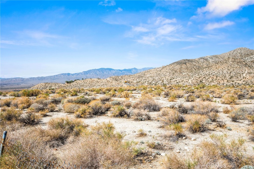 MLS #SW25227633 image #34