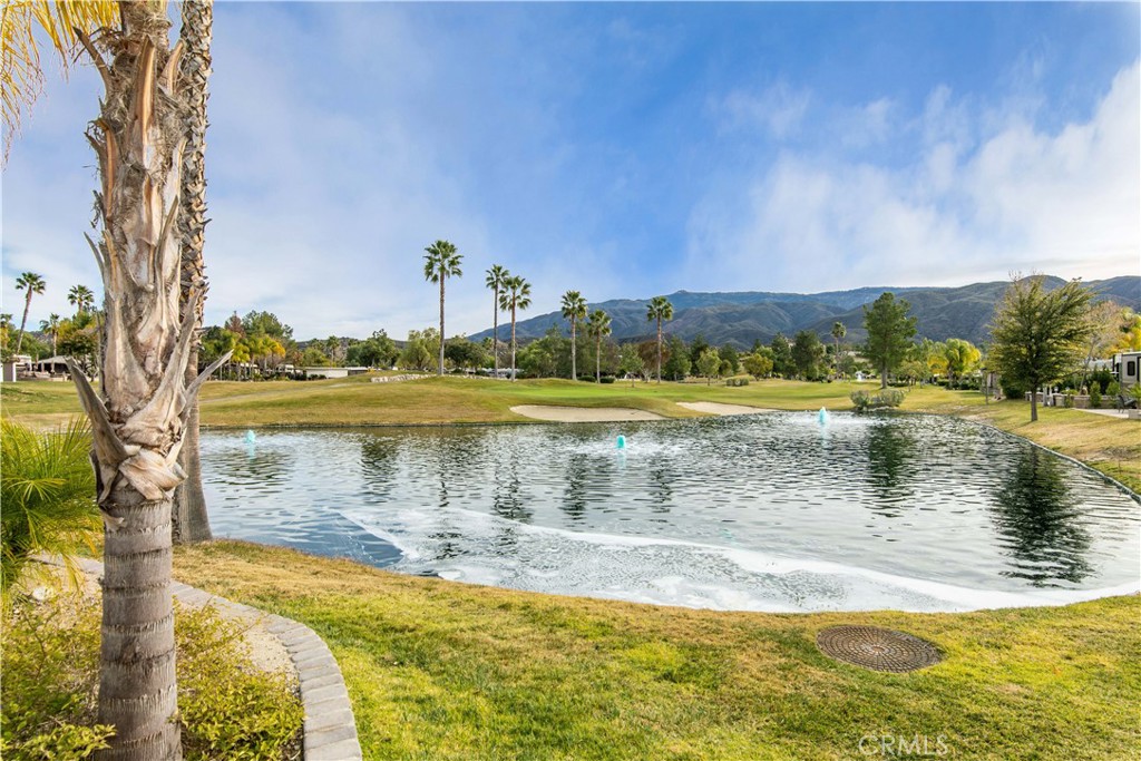 MLS #SW25227672 image #29