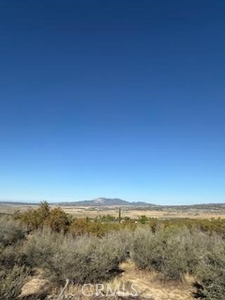 MLS #SW25227735 image #10