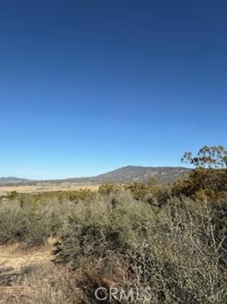 MLS #SW25227735 image #11
