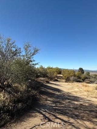 MLS #SW25227735 image #12