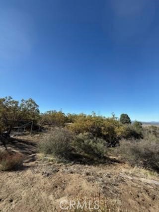 MLS #SW25227735 image #13