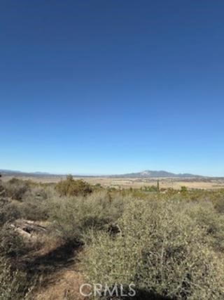 MLS #SW25227735 image #14