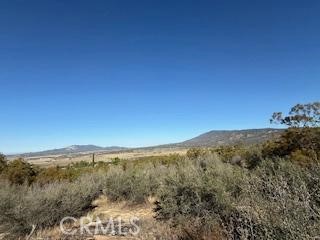 MLS #SW25227735 image #17