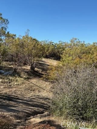 MLS #SW25227735 image #18