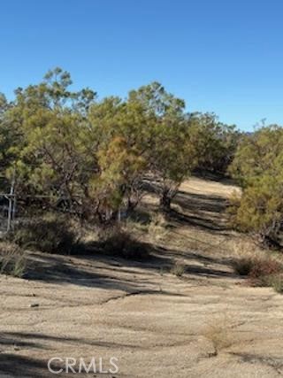 MLS #SW25227735 image #21