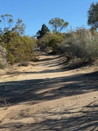 MLS #SW25227735 image #5