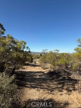 MLS #SW25227735 image #6