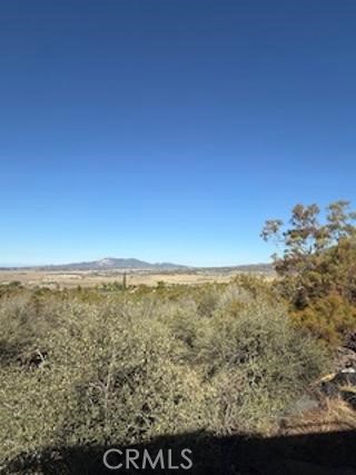 MLS #SW25227735 image #8