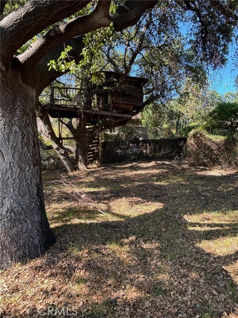 MLS #SW25228337 image #43