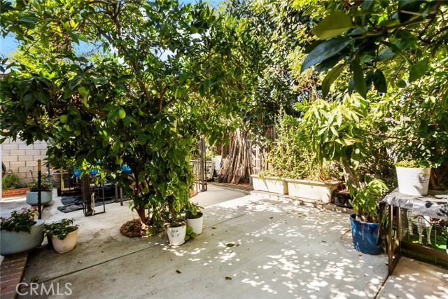 MLS #SW25228895 image #22