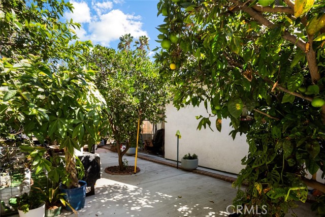 MLS #SW25228895 image #23