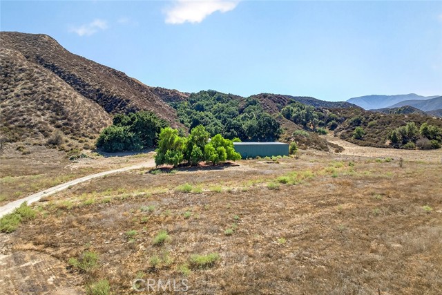 MLS #SW25229273 image #13
