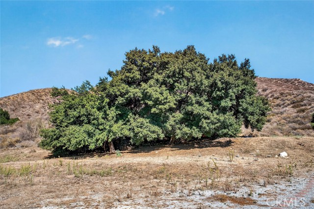 MLS #SW25229273 image #36