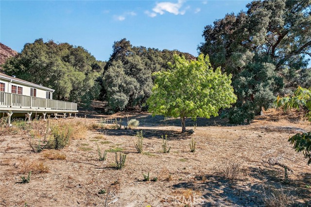 MLS #SW25229273 image #38