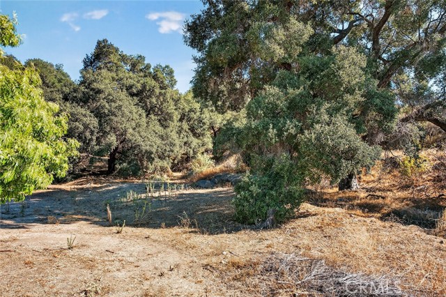 MLS #SW25229273 image #39