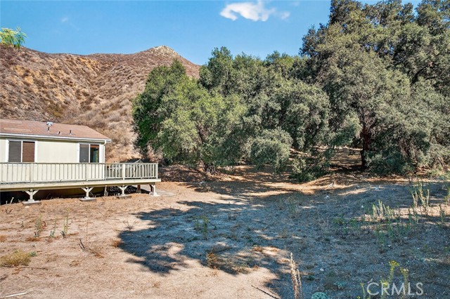 MLS #SW25229273 image #40