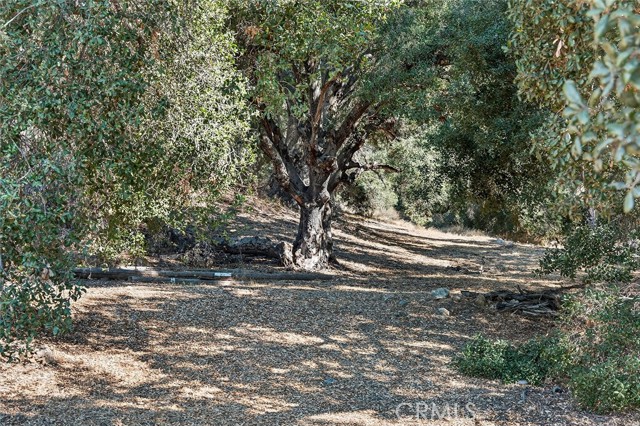 MLS #SW25229273 image #42