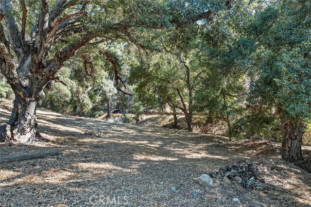MLS #SW25229273 image #43