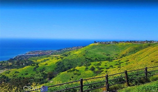 MLS #SW25229669 image #12