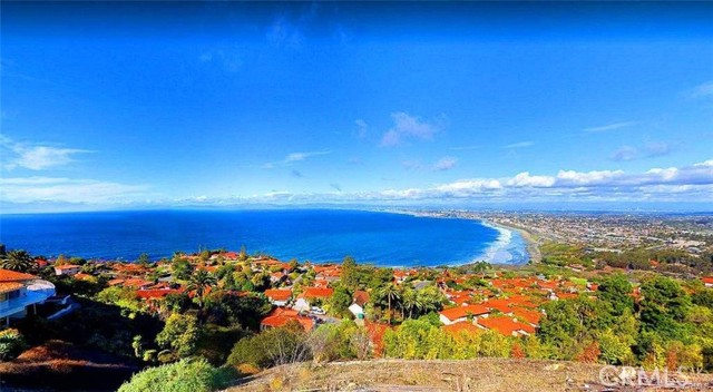 MLS #SW25229669 image #6