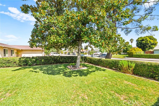 MLS #SW25229868 image #4