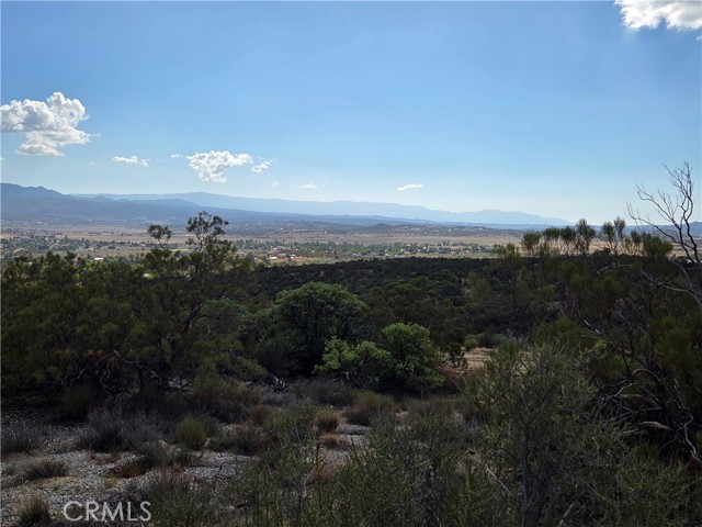 MLS #SW25230587 image #11