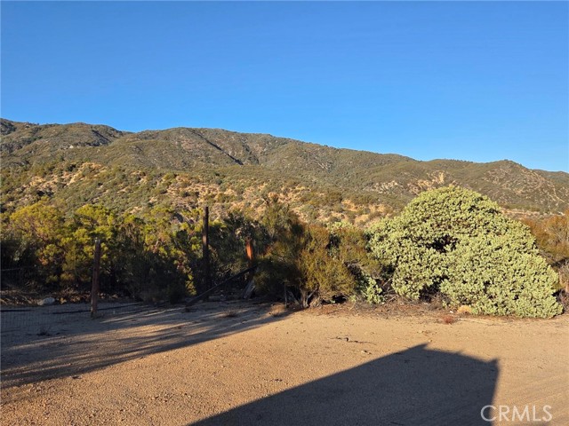 MLS #SW25230587 image #16