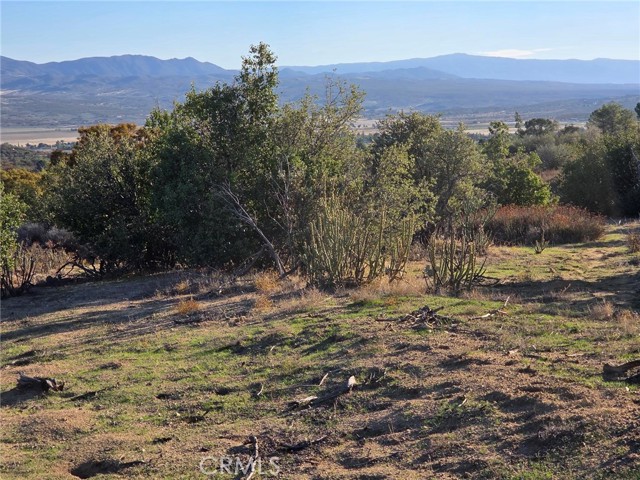 MLS #SW25230587 image #17