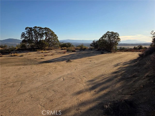 MLS #SW25230587 image #19