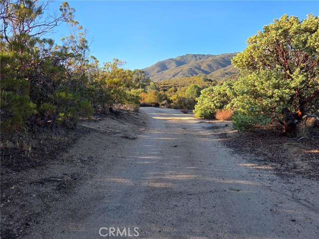 MLS #SW25230587 image #2