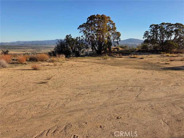 MLS #SW25230587 image #20
