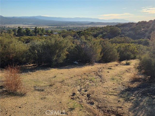 MLS #SW25230587 image #21
