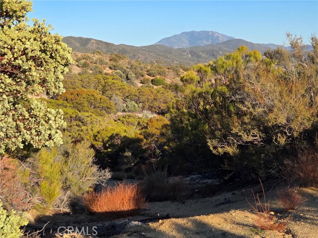 MLS #SW25230587 image #22