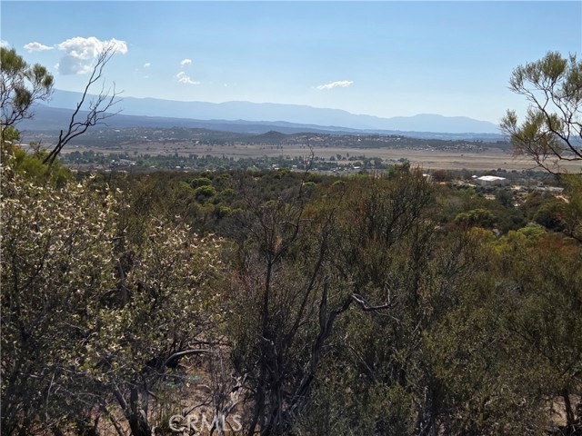 MLS #SW25230587 image #25