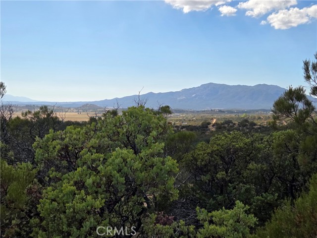 MLS #SW25230587 image #4