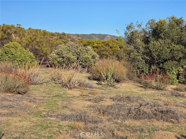 MLS #SW25230587 image #5