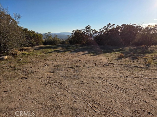MLS #SW25230587 image #8